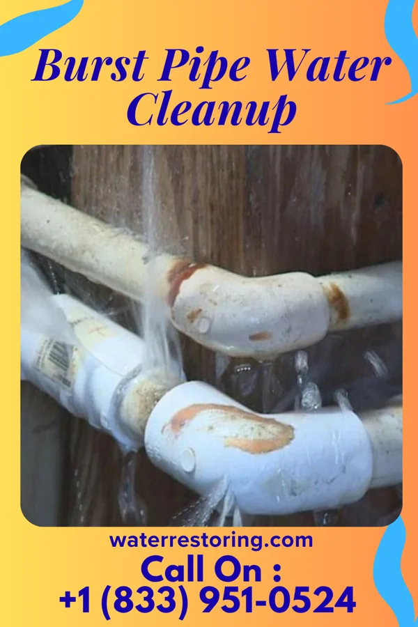 Burst Pipe Water Cleanup in Glasgow, KY