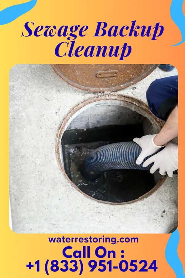 Sewage Backup Cleanup in Glasgow, KY
